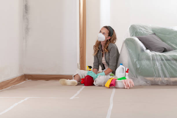 Reliable Black Mold Removal contractor in Kempton, PA by WQB Mold Removal